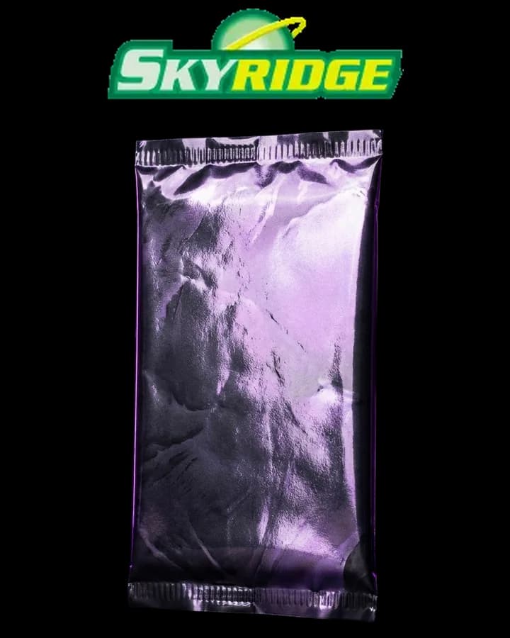 Skyridge Booster Pack