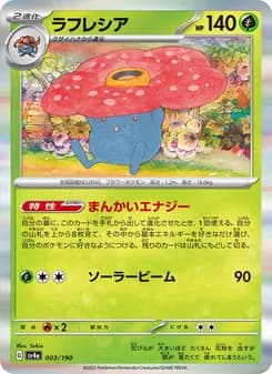 レイジングサーフ (reijingusafu)