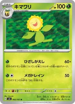 変幻の仮面