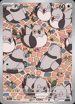 Poichigeon