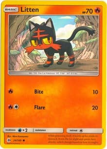 Litten (Water Web Holo)