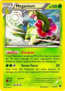 Meganium (Cosmos Holo)