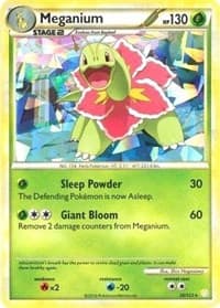 Meganium (Cracked Ice Holo)