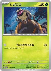 シガロコ