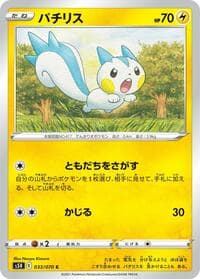 Pachirisu