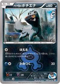 アクア団のポチエナ