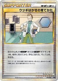 Professor Elm's Training Method