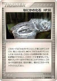神秘的な化石
