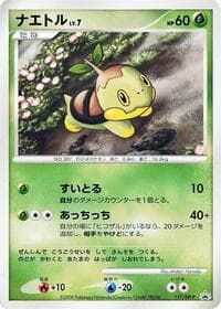 Turtwig