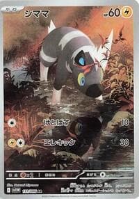 シママ