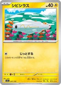 シビシラス