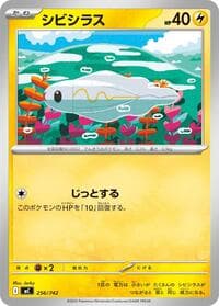 シビシラス