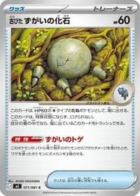 古びたずがいの化石
