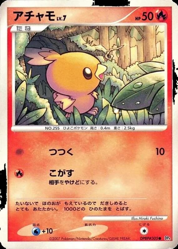 Torchic