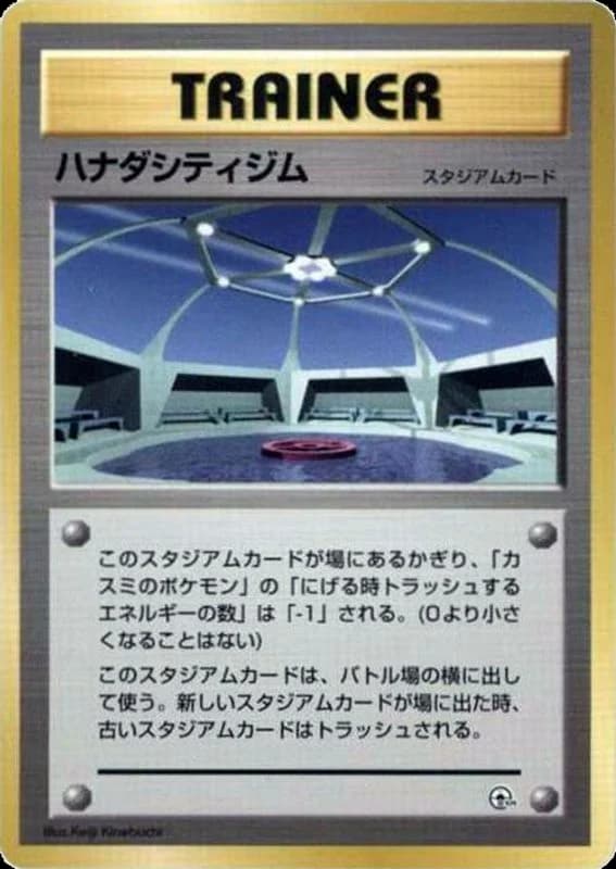 Cerulean City Gym
