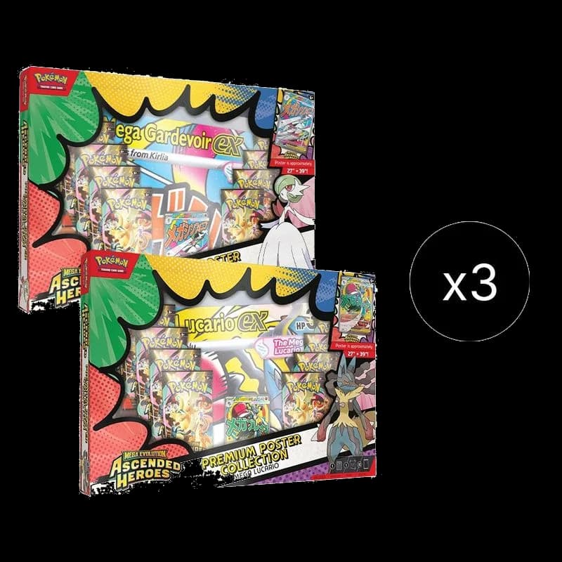 Premium Poster Collection Case
