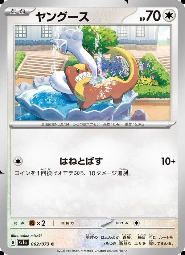 ヤングース